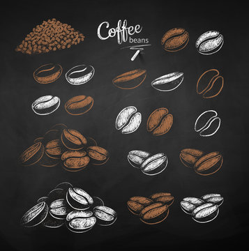 Vector Chalk Drawn Sketches Set Of Coffee Beans