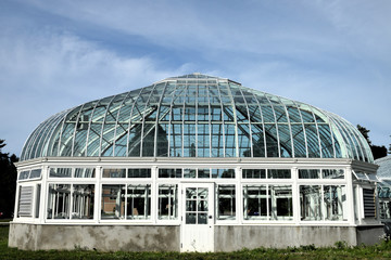 Fototapeta na wymiar portion of a green house 