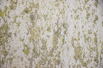 Moss Rough grunge vintage background distressed weathered dirty old texture