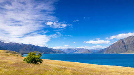 lake Wanaka; New Zealand south island