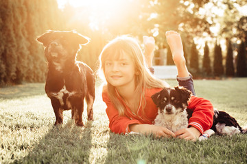 Hübsches Mädchen spielt mit Hunden an einem sonnigen Tag 