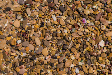 Wet stone on the beach