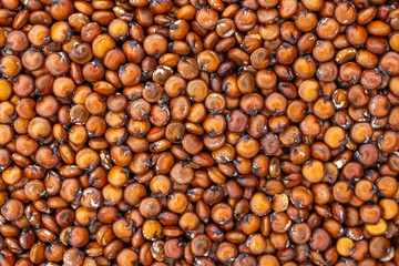 Lot of whole raw red quinoa seeds macro flatlay isolated on white background