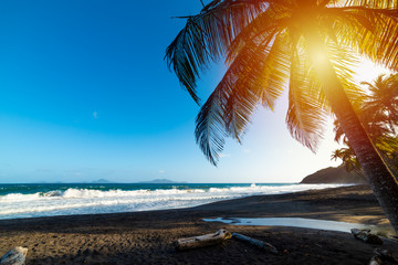 Palm trees and dark sand in Grande Anse beach at sunset