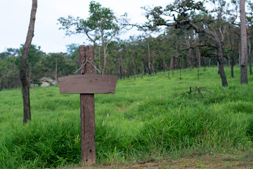 Wooden sign attached to the pole on natural background