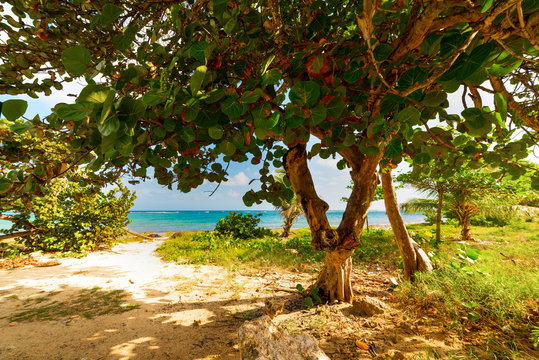 Autre Bord shore in Guadeloupe