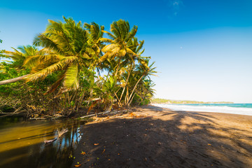 Grande Anse beach under a blue sky in Guadeloupe