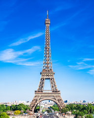 世界遺産　パリのセーヌ河岸　エッフェル塔　縦位置