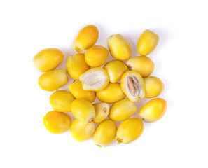 date palm isolated on white background. top view