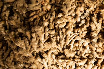 ginger stacked on the marketplace