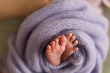 baby feet on background. feet of a newborn baby. little foot