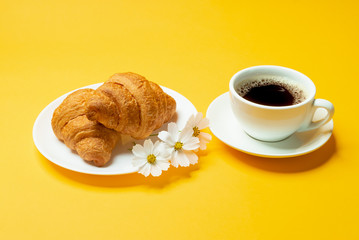 French croissants, cup of coffee and chamomile flowers on yellow background close up	