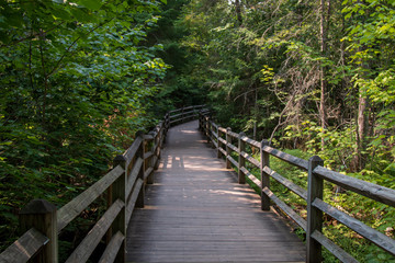Wood bridge path