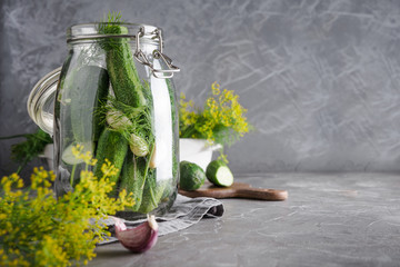 Pickling and fermentation cucumber in glass jar with dill and garlic on grey. Space for text.