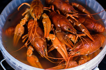 boiled crayfish