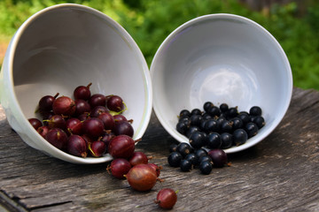 gooseberry, currant spilled out with a bowl
