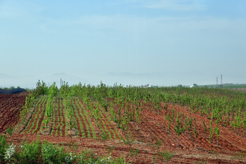 North Korea. Countryside