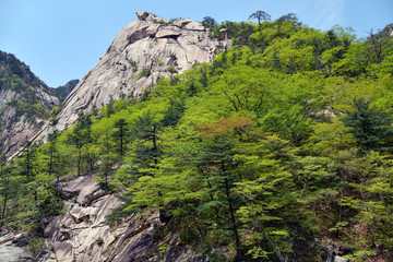 North Korea. Diamond mountains. Mt.Kumgang