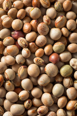 Organic Dry Toor Whole Pigeon Peas
