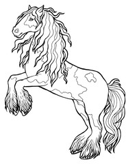 Horse runs trot. Coloring book. The horse runs trot. Coloring book. Tinker is a thoroughbred horse.