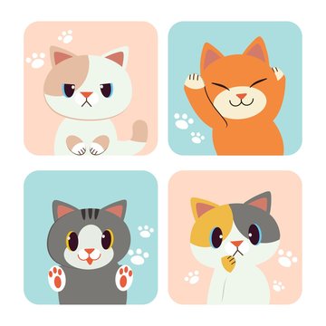 The collection of cat in the frame. a many face of cat in the frame. cat look happy in pastel pink and blue frame. white footstep on pastel background. cute cat in flat vector style.