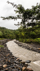 Big river in the amazonas