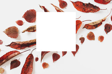 Autumn composition. Dried leaves and white frame on pastel gray background. Autumn and thanksgiving day concept. Flat lay, top view, copy space