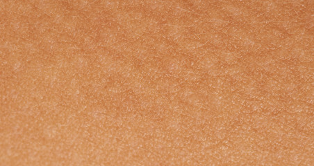 Women skin texture