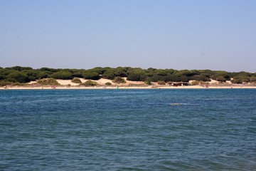 Fototapeta premium calm sea with blue sky 