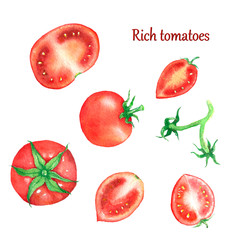 Set collection watercolour tomatoes