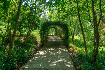 Beautiful green tunnel with light in background in Tvermaghala park. Georgia.