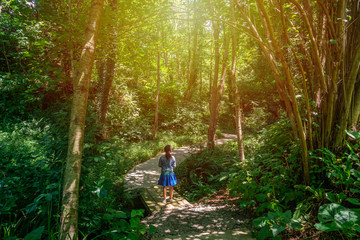 Beautiful green tunnel with light in background in Tvermaghala park. Georgia.