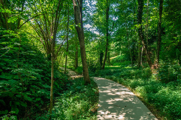 Obraz premium Beautiful green tunnel with light in background in Tvermaghala park. Georgia.