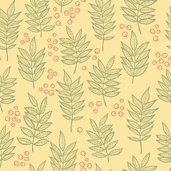 Rowan leaves. Vector seamless pattern. Hand drawn.