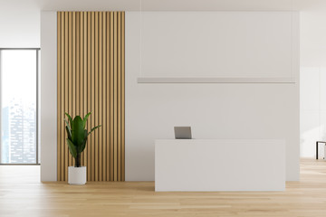 White and wooden office interior with reception