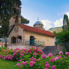 Small church among the hydrangea flowers. Montenegro, Risan town, Orthodox Church of Michael the Archangel