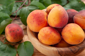 ripe apricots in a wooden bowl on the background of not painted boards