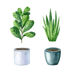 Watercolor set with home plants and pots and ficus and sansevieria. Hygge style, scandinavian interior,handdrawn clipart.