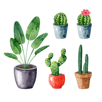 Watercolor set with home plants and pots. Hygge style, scandinavian interior,handdrawn clipart.