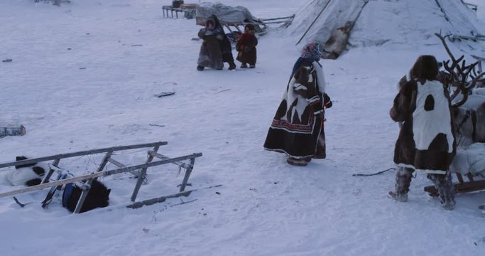 Amazing video of Siberian people in a yurts camp , man and woman have a typical day in tundra , with reindeers and sleigh around