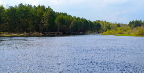 Autumn evening landscape with the river and a beautiful tree