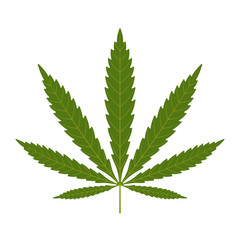 Cannabis leaf icon. Green silhouette indica sativa isolated white background. Herbal medicine herb plant. Natural weed hemp. Addiction smoke drug Illegal narcotic marijuana design. Vector illustration