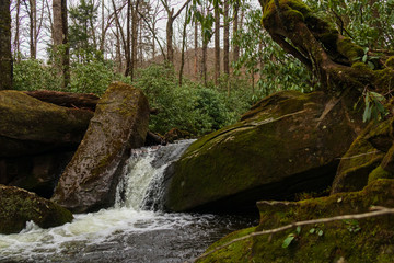 Fototapeta premium Cascading mountain stream in Great Smoky Mountains National Park
