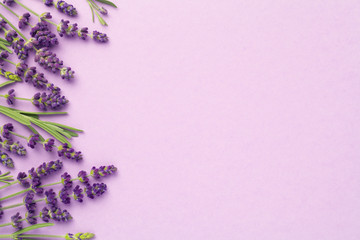 Lavender Flowers On Pink Background