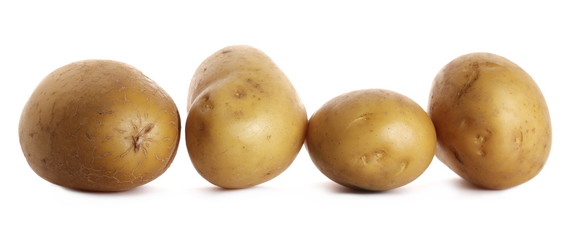Organic potato isolated on white background