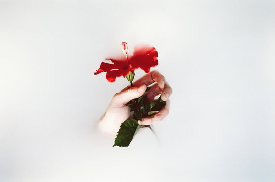 Man holding flower in surreal way out of liquid