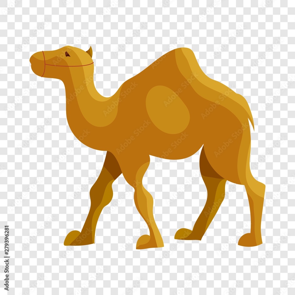 Poster camel icon in cartoon style isolated on background for any web design