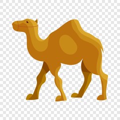 Camel icon in cartoon style isolated on background for any web design