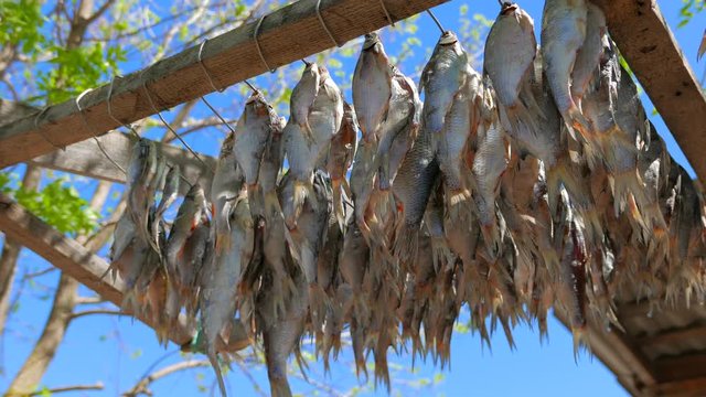 Sunny day in the fishing village. Fish is dried on the street near the house.