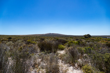 Fototapeta na wymiar Steppe Nationalpark Südafrika